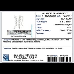 Leo Diamond 14 Karat Earrings